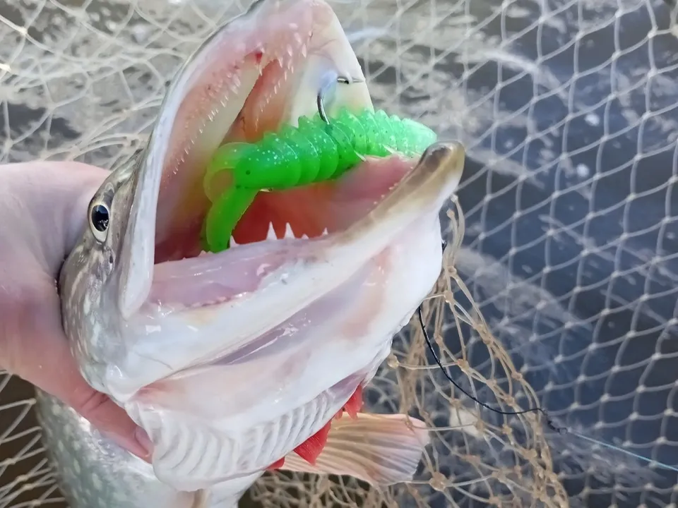 Фото: Александр Добролюбов