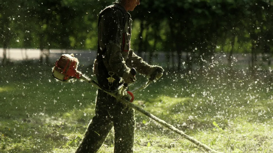 Фото: РИА Новости/Константин Чалабов