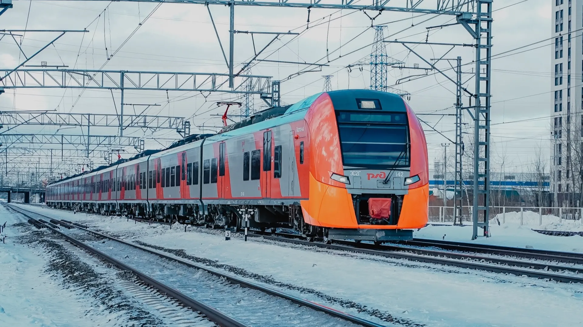 Фото: пресс-служба администрации г.о. Химки