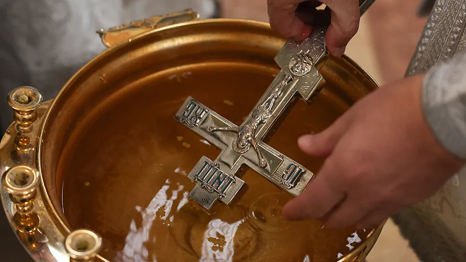 Фото: ТАСС/Виталий Невар