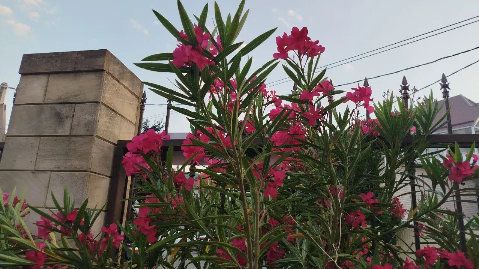 Фото: REGIONS/Юлия Куделькина