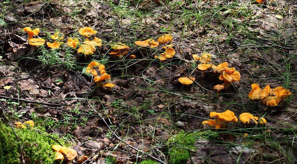 Фото: Никита Белов