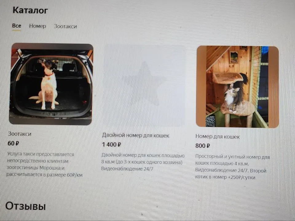 Фото: скрин сайта зоогостиницы в Люберцах&nbsp;