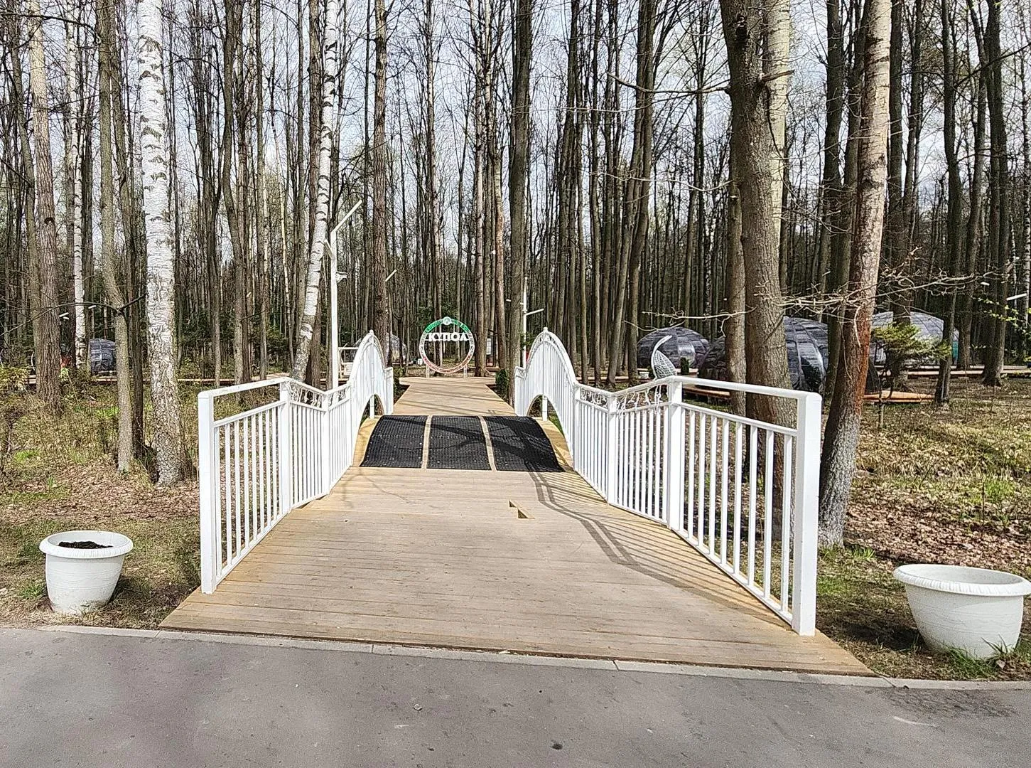 Фото: Нина Басистая