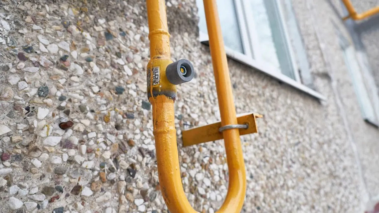 Фото: пресс-служба губернатора Московской области