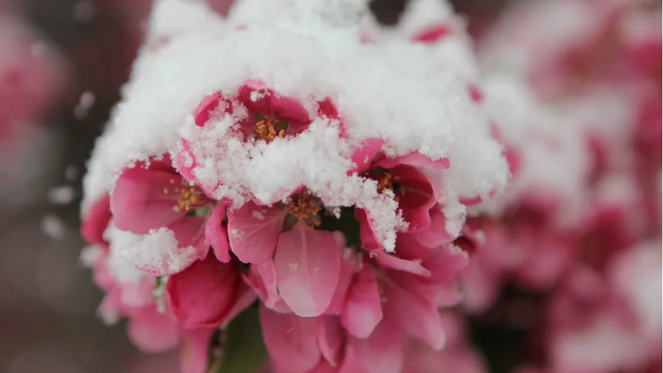 Фото: unsplash.com