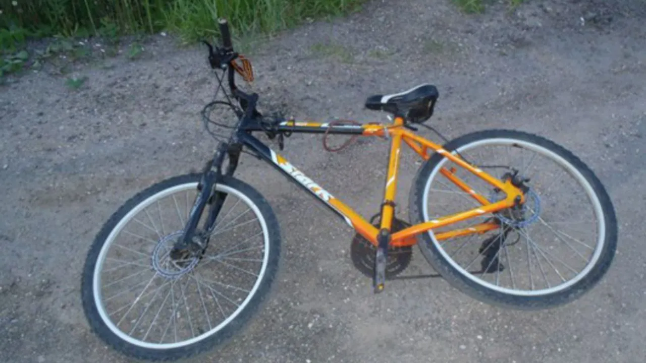 Фото: пресс-служба ОМВД Талдомского округа