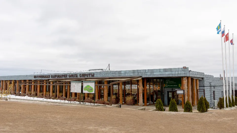 Фото: медиасток.рф