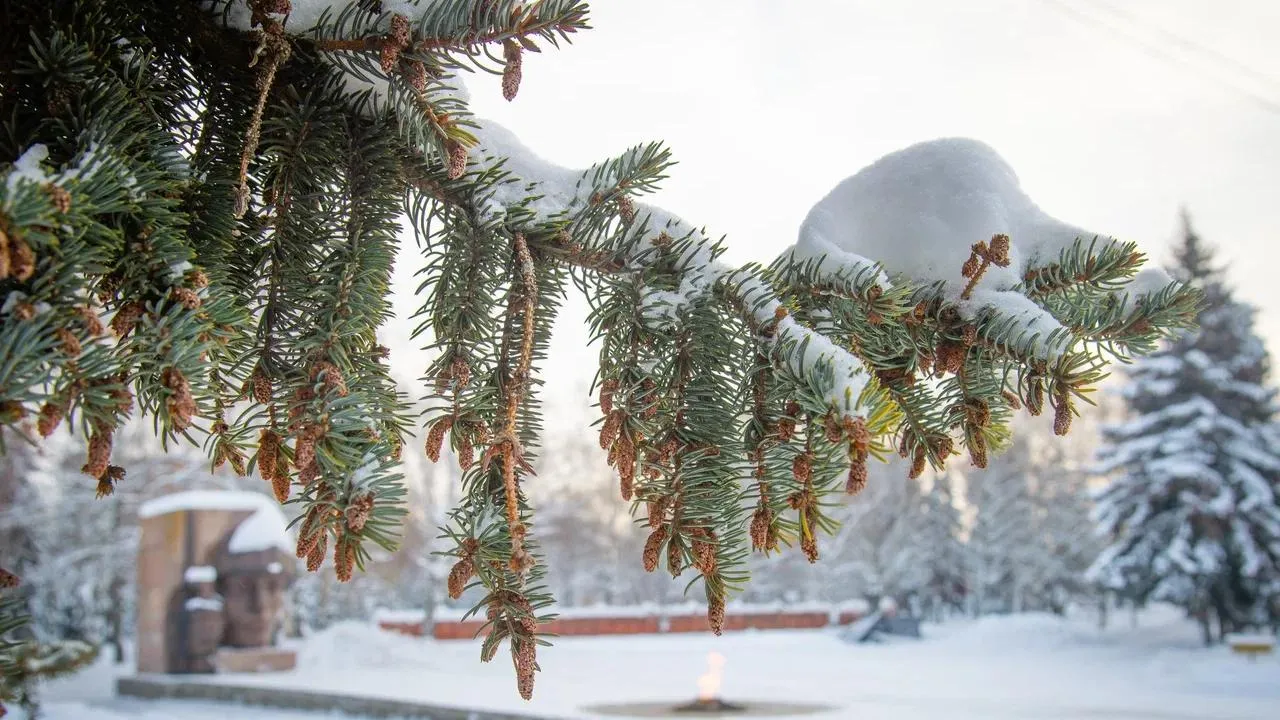 пресс-служба администрации г.о. Коломна