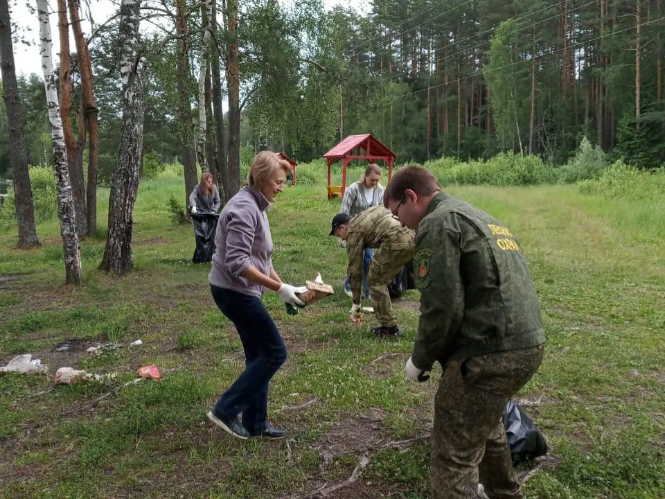 Фото: Комитет лесного хозяйства МО