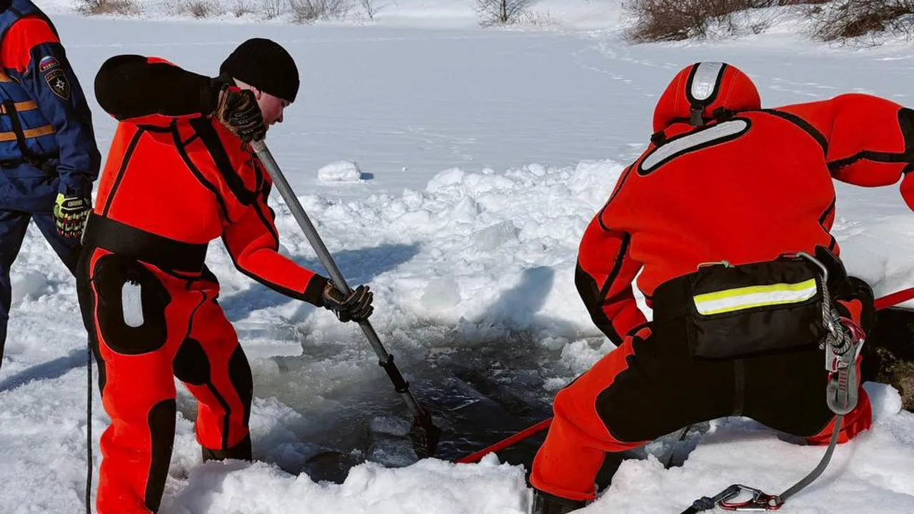 Центр гражданской защиты г.о. Щелково