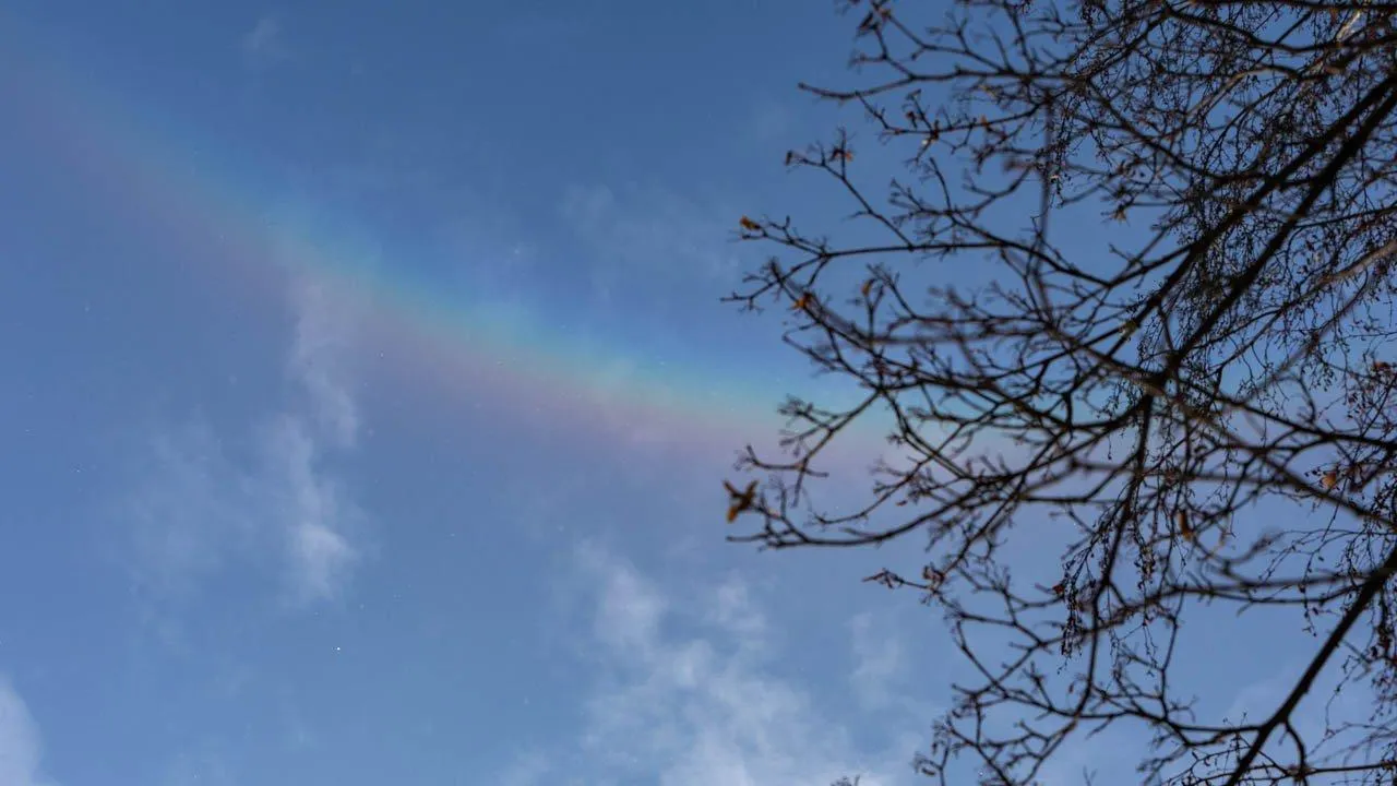 REGIONS/Роман Малышенко