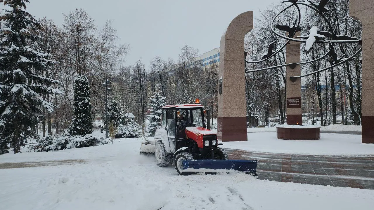 Мария Амелина