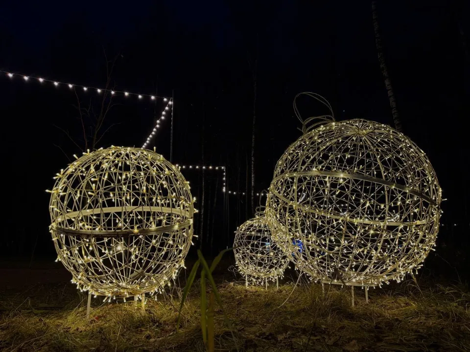 Фото: Фрязинский лесопарк