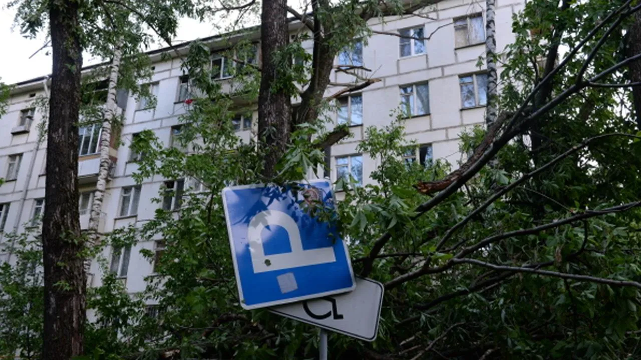 Евгений Одиноков/©РИА Новости