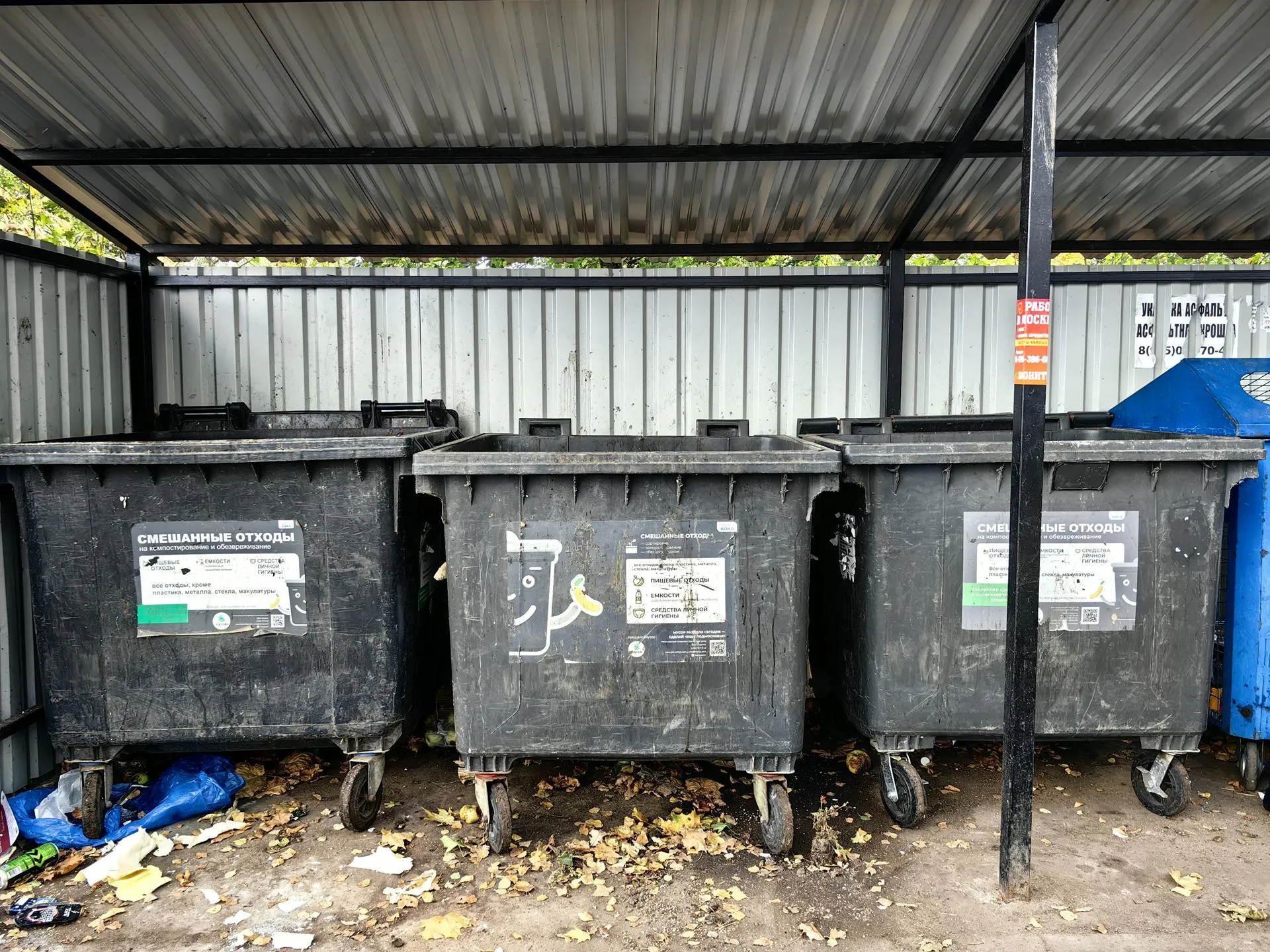 Елена Катасонова