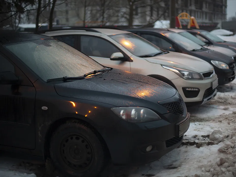 Фото: istockphoto.com/Олег Копьев