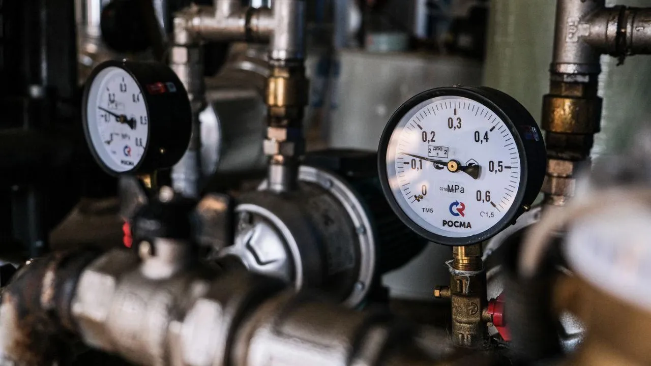 Фото: пресс-служба губернатора Московской области