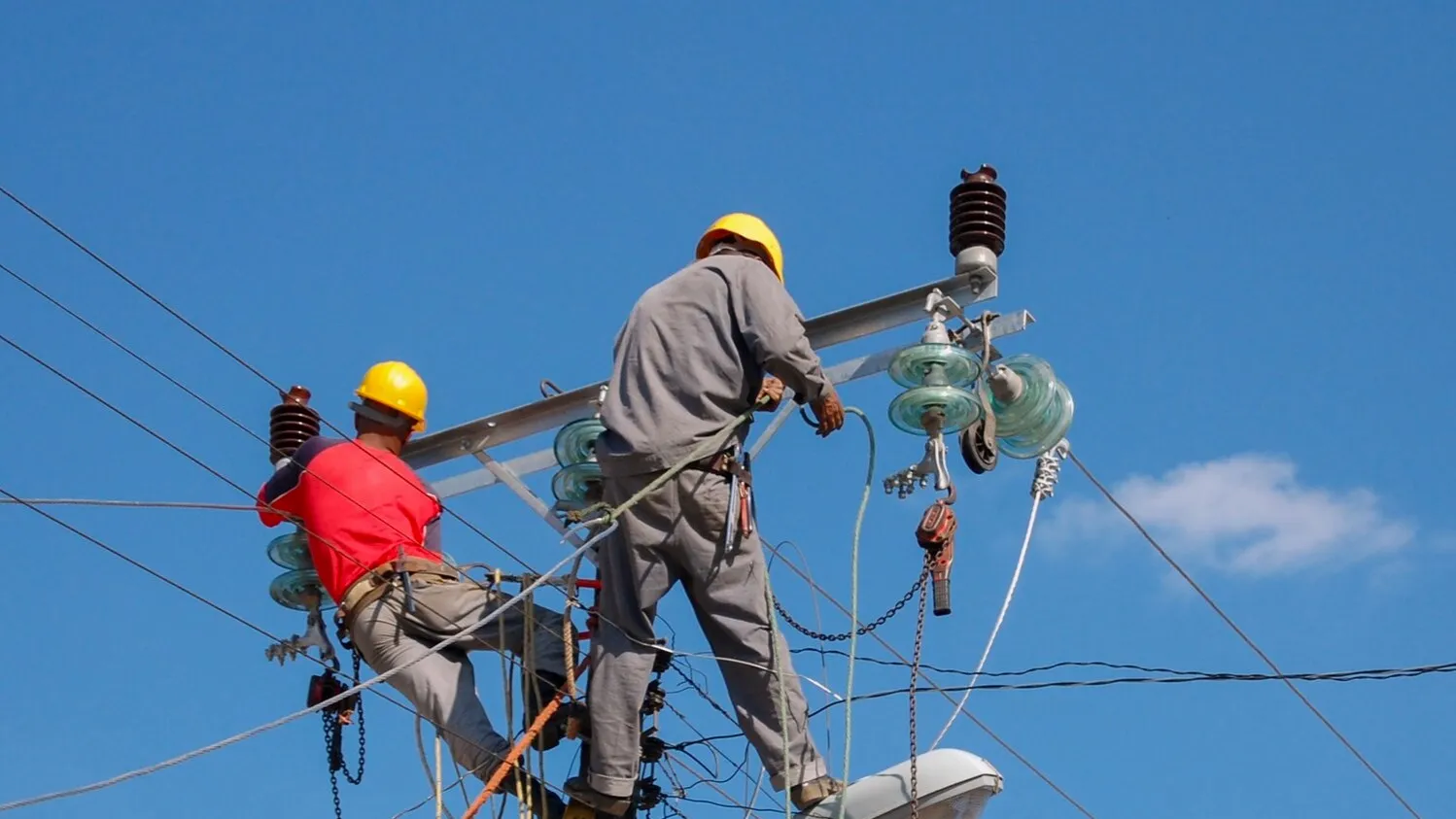 Фото: freepik.com