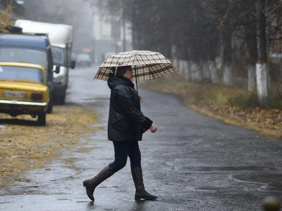 Мрачный прогноз: какой будет погода в Москве и Подмосковье в выходные 18 и 19 октября