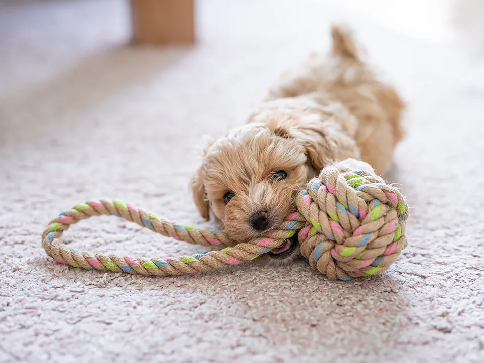 Фото: istockphoto.com