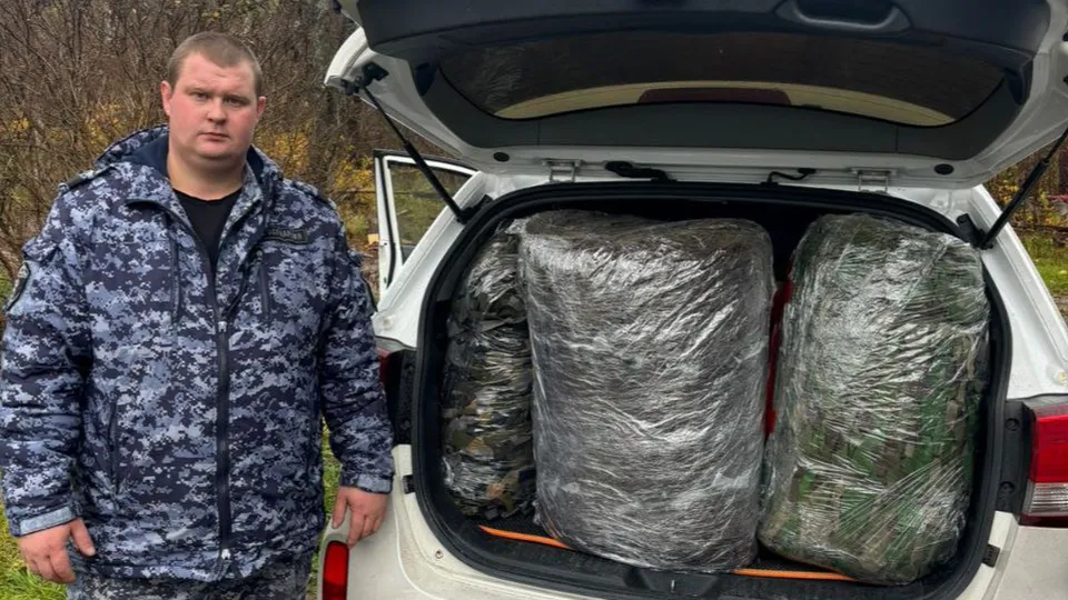 Фото: t.me/moshatura