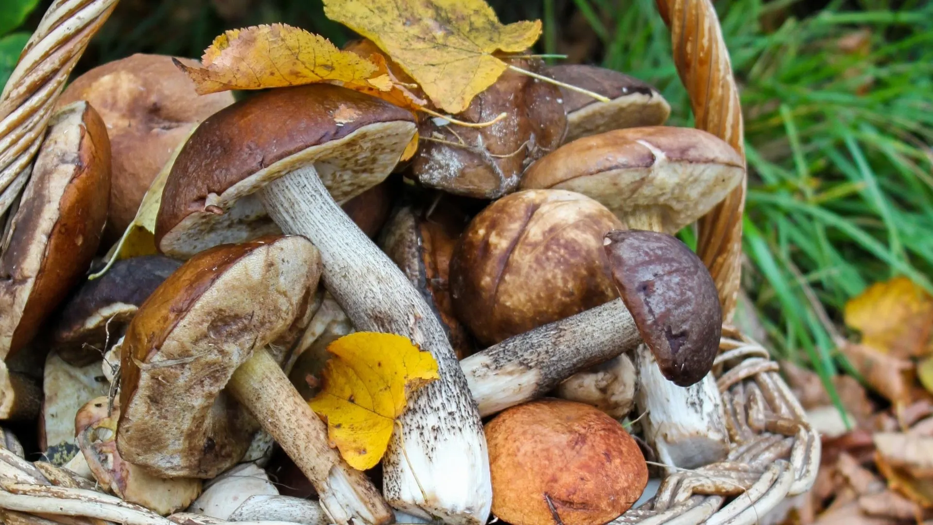 Фото: freepik.com