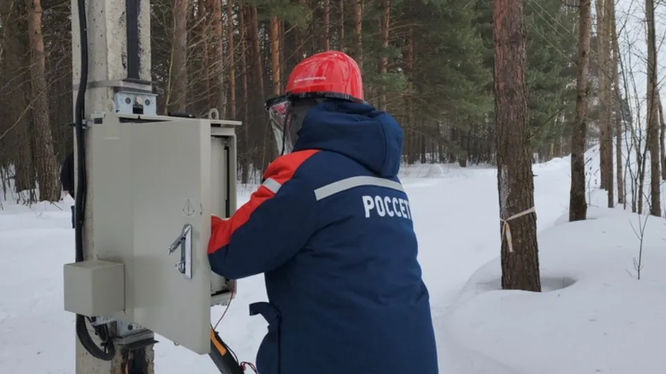 Фото: МедиаБанк Подмосковья/Алена Притула
