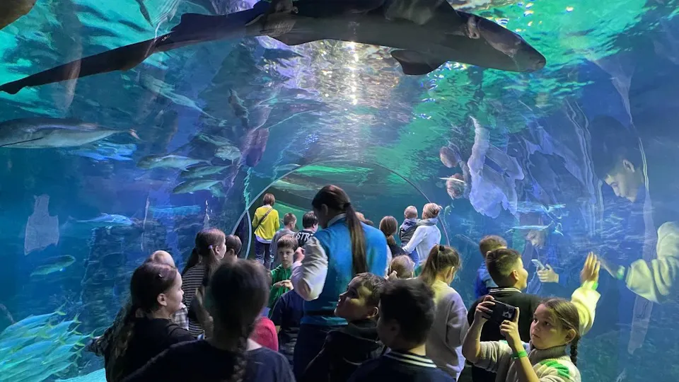 Фото: пресс-служба Администрации г.о. Чехов