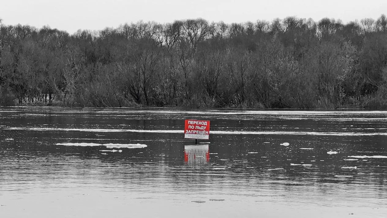 REGIONS/Алексей Селиверстов