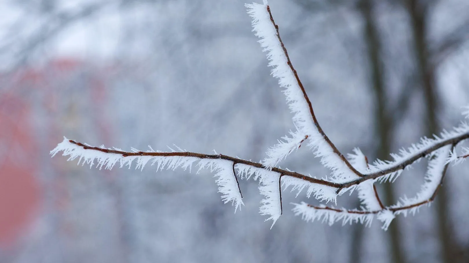 медиасток.рф