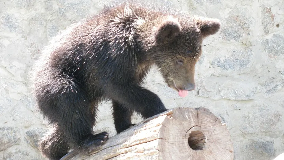 Фото: unsplash.com