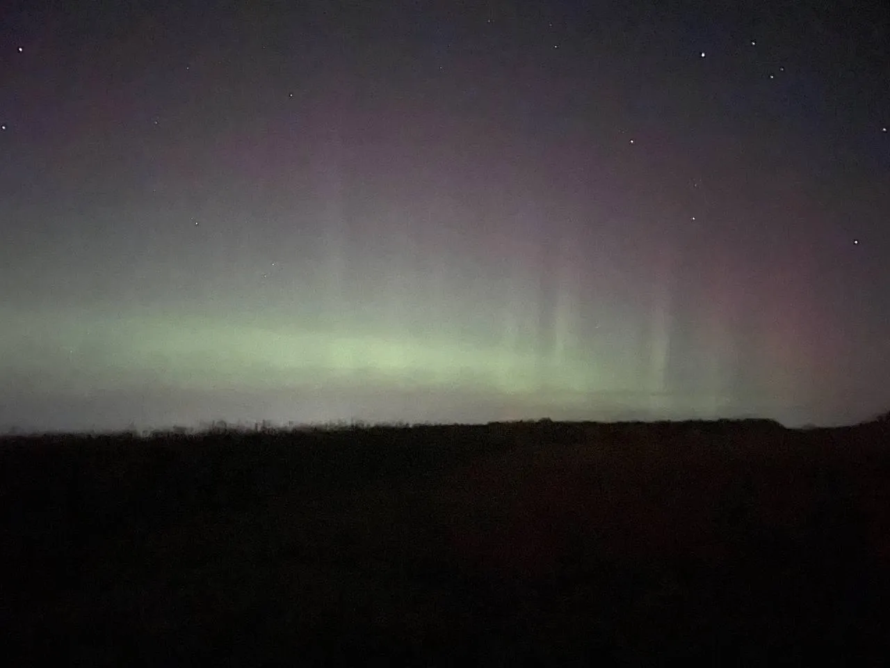 Дарья Леонова