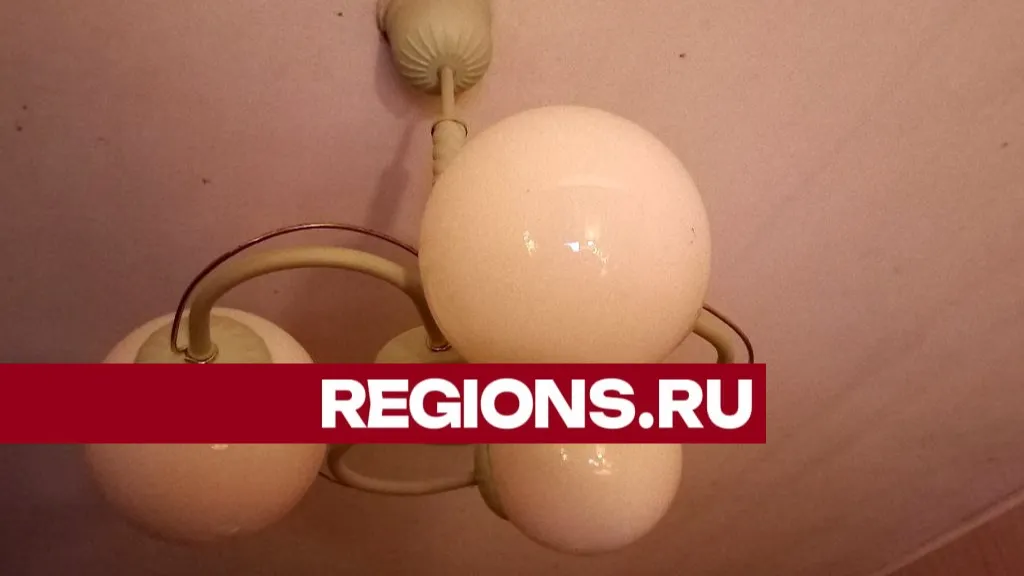 Фото: Олег Книжник