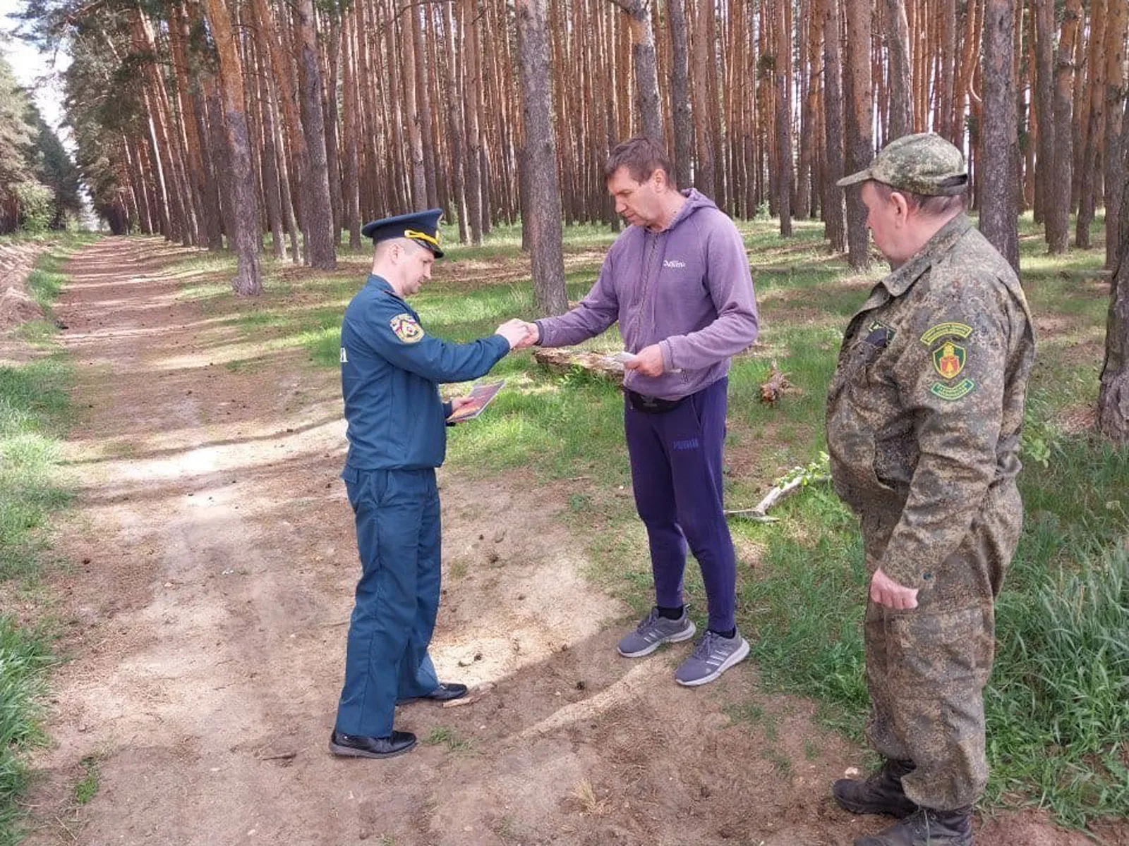 Фото: Ступинский филиал ГКУ МО «Мособллес»