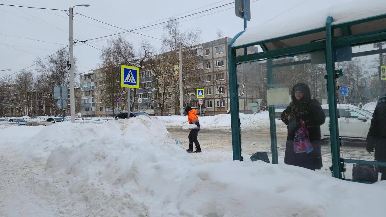 МедиаБанк Подмосковья/Юлия Андросова