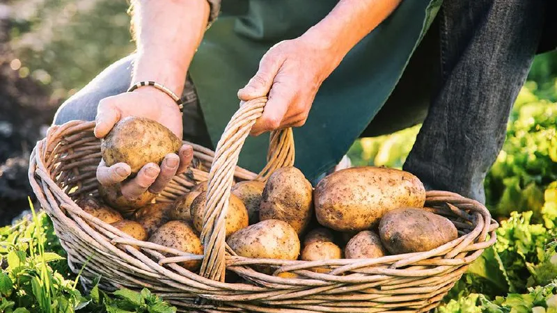 Фото: istockphoto.com