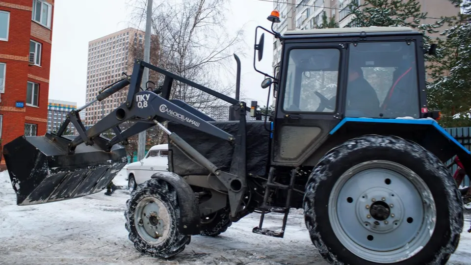 Фото: Анна Сотникова