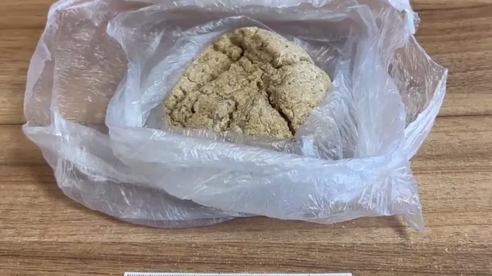 Фото: ГУ МВД России по Московской области