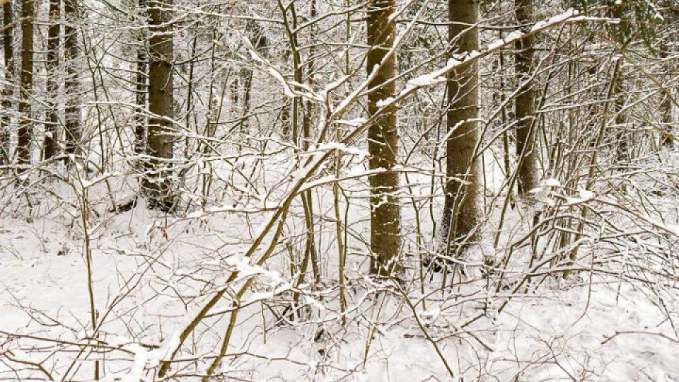 Фото: REGIONS/Роман Малышенко