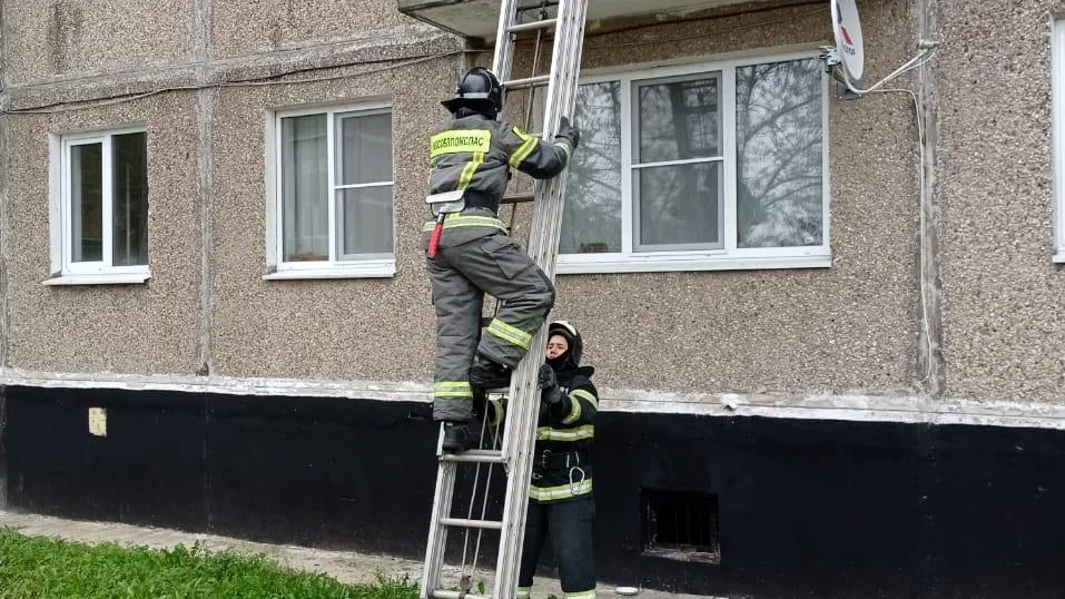 ГКУ МО "Мособлпожспас"