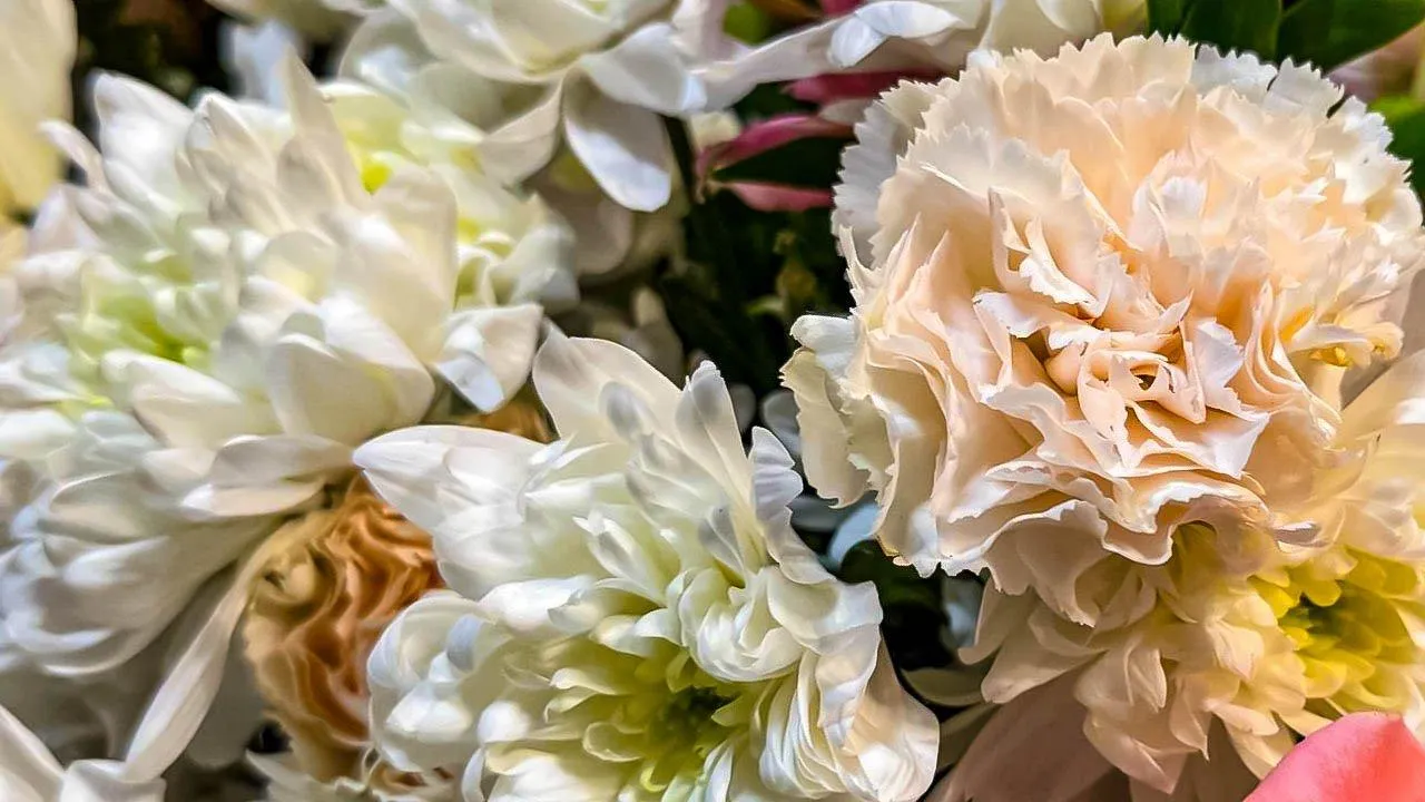 REGIONS/Дарина Левкина