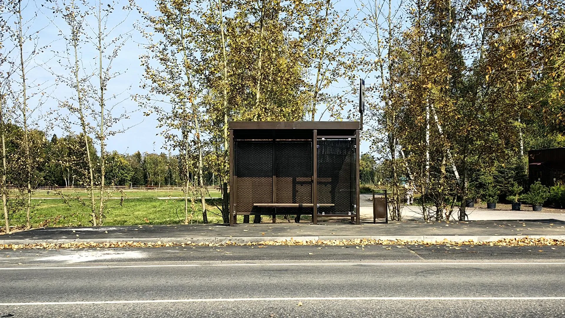 Елена Катасонова