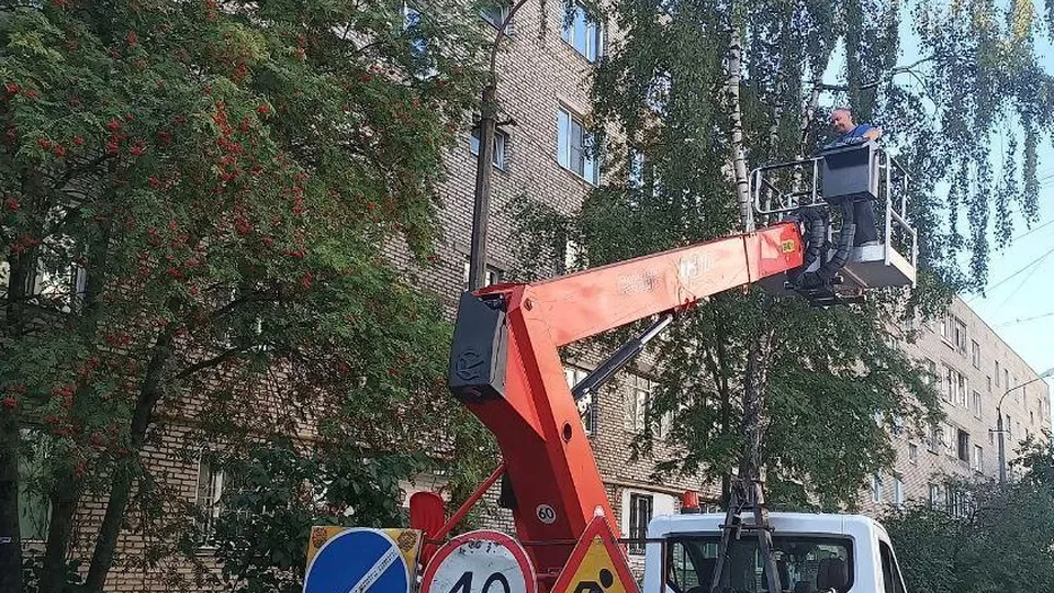 Фото: пресс-служба Администрации г.о. Лобня