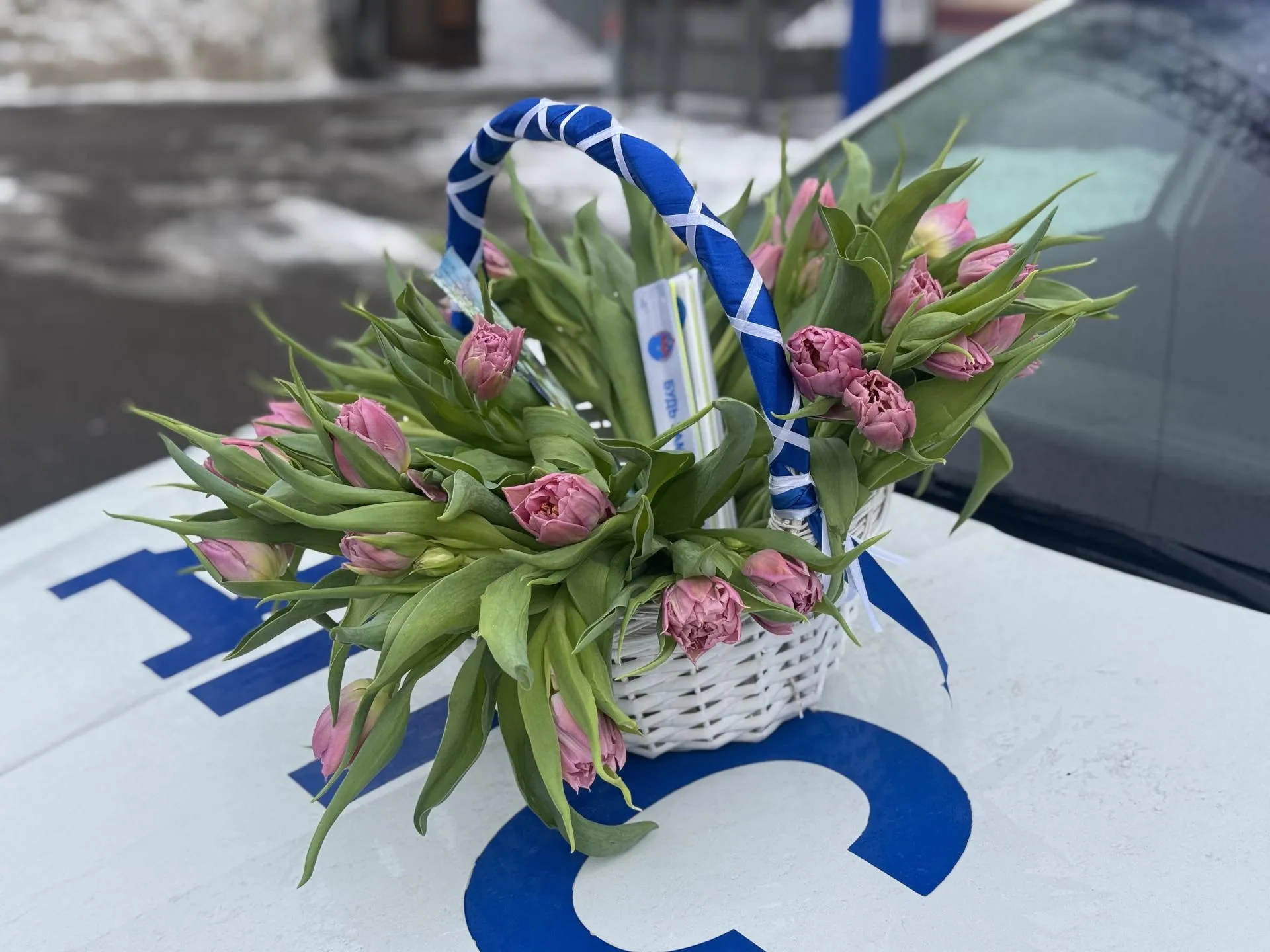 Полина Абраменко