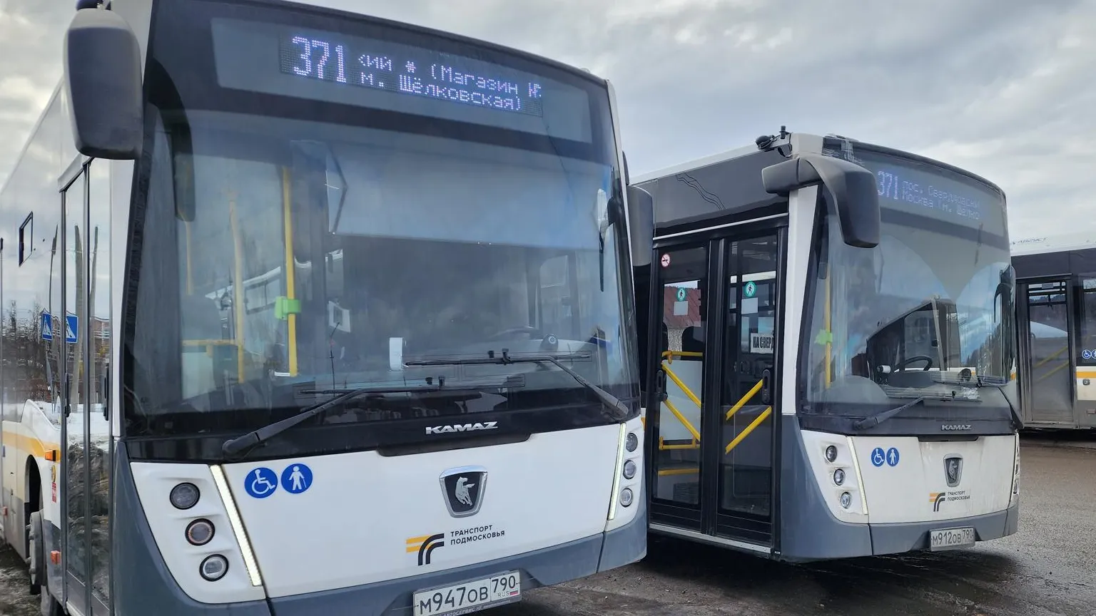 Фото: Валерия Тингаева