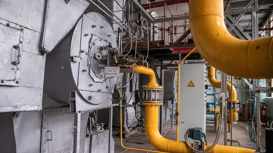 Фото: пресс-служба администрации Одинцовского округа