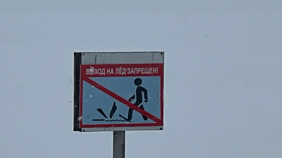 Фото: МедиабанкПодмосковья/Евгения Герасимова