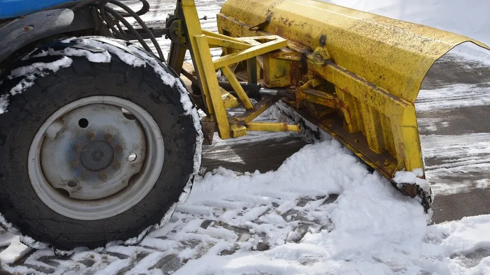 Фото: МедиаБанк Подмосковья/Владимир Останин