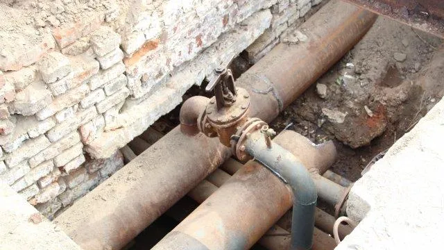 Фото aif-s3.aif.ru.